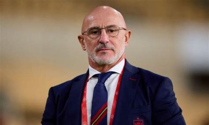 Luis de la Fuente Net Worth