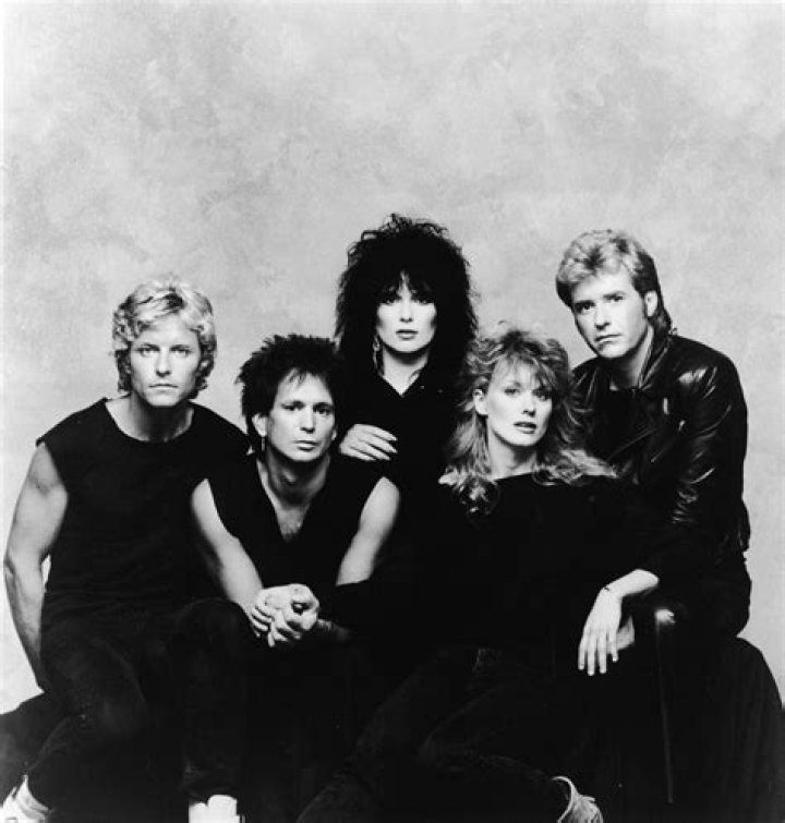 Mark Andes Net Worth | Celebrity Net Worth