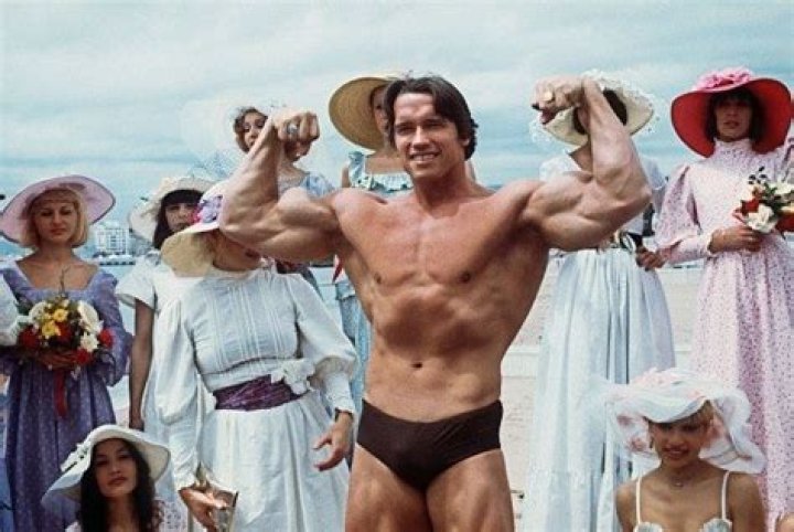 Arnold Schwarzenegger's Largest Career Payday Came From The Absolutely Last Movie You'd Ever Guess