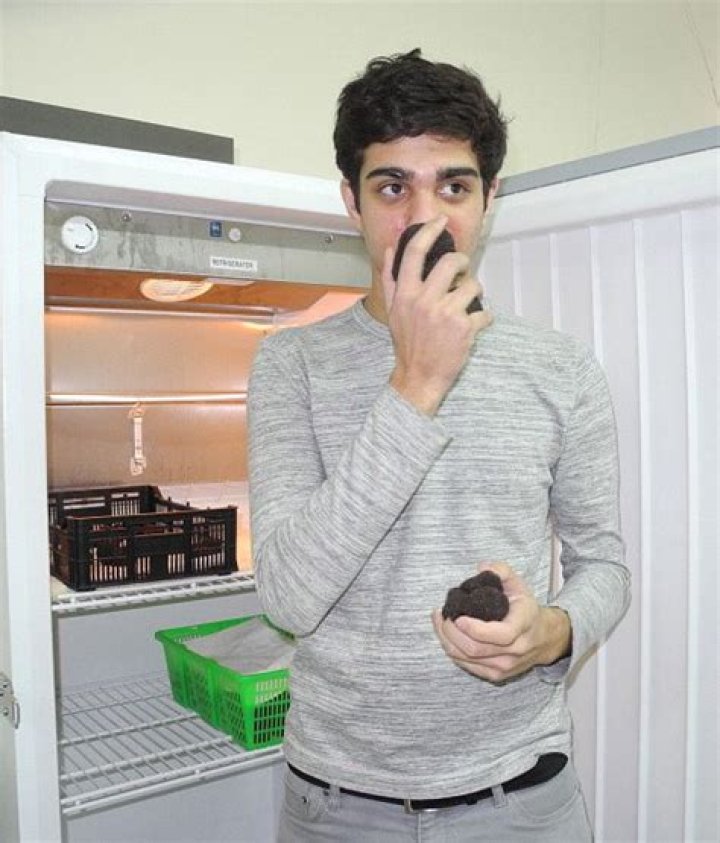 Meet The 21 Year Old Who Is Making A Fortune Off Truffles. Yup. Truffles.