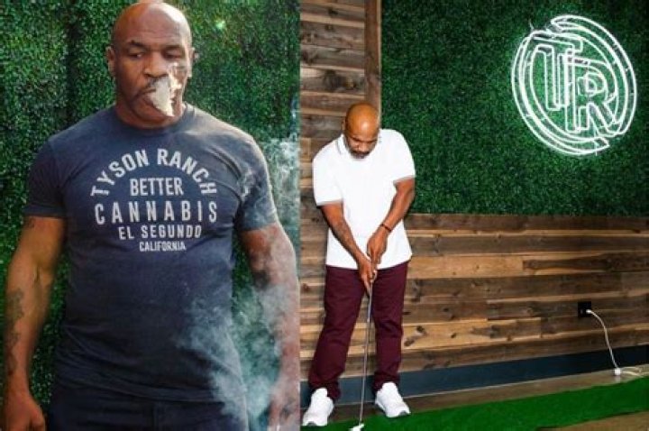 Mike Tyson Turns Over A New Leaf, Developing Luxury Weed Resort In California