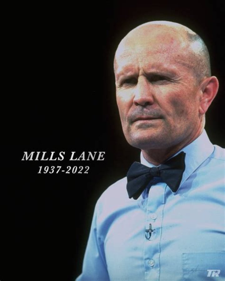 Mills Lane Net Worth | Celebrity Net Worth