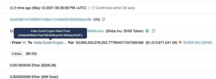 OMG Vitalik Buterin Is Dumping All His Dog Coins We Speak And Donating The Proceeds - He Technically Just Donated $1 Billion To India's COVID Fight