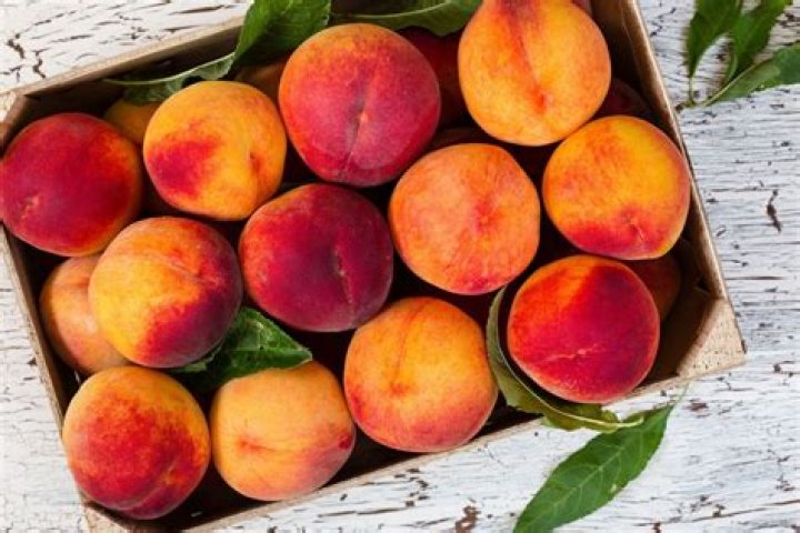 Peaches Net Worth | Celebrity Net Worth