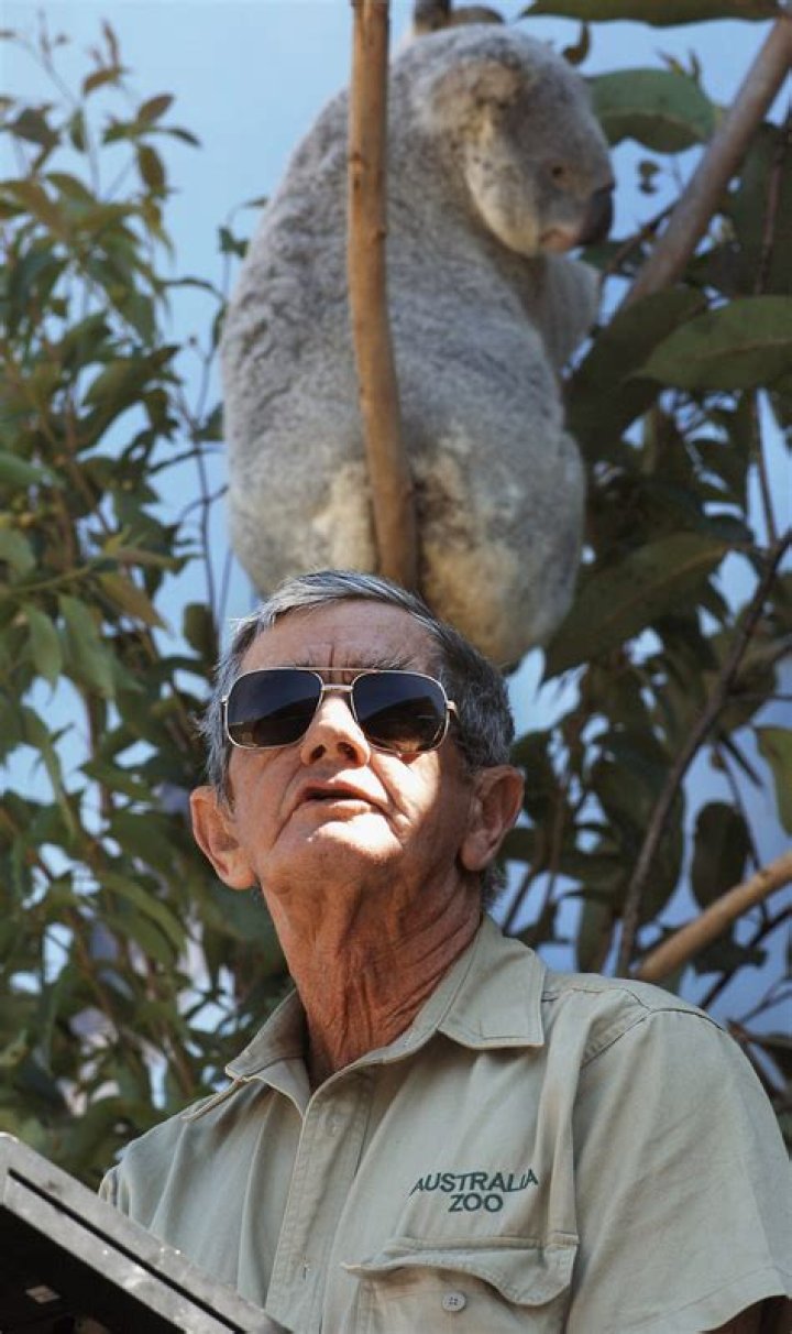 Robert Irwin Net Worth | Celebrity Net Worth