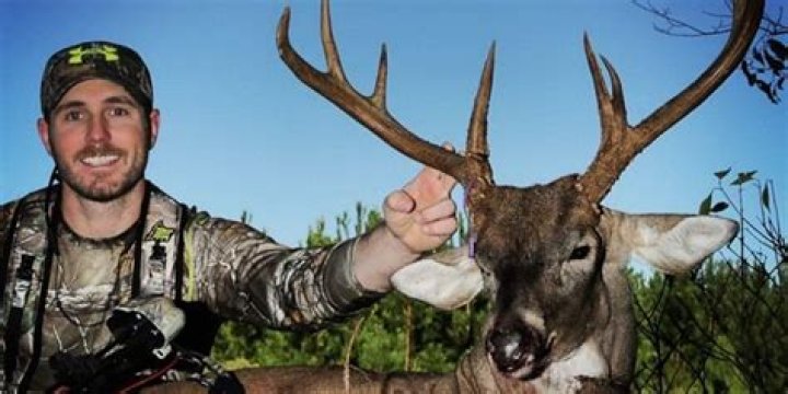 Ryan Busbice Net Worth | Celebrity Net Worth