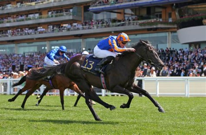 Ryan Moore Net Worth | Celebrity Net Worth