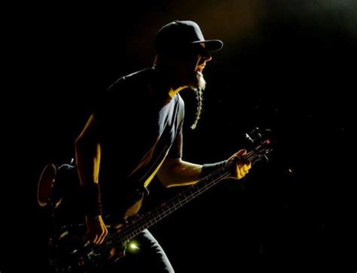 Shavo Odadjian Net Worth | Celebrity Net Worth