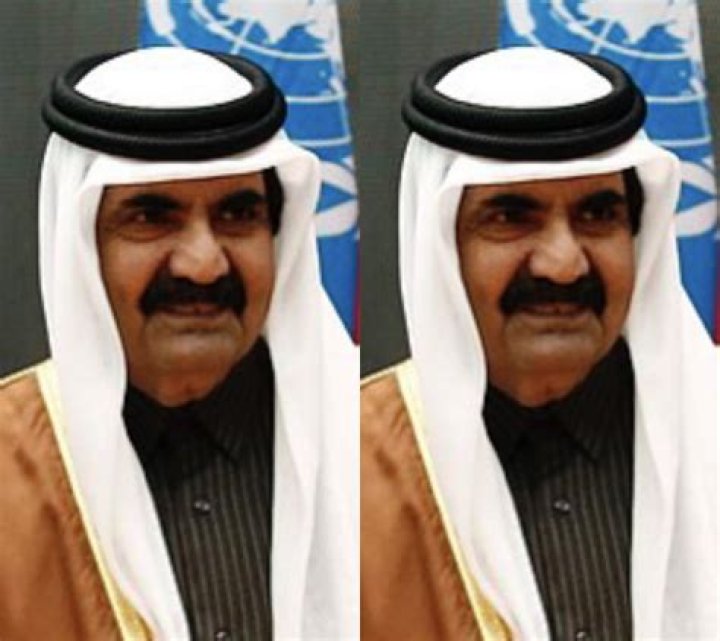 Sheikh of Qatar Net Worth