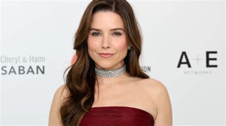 Sophia Bush Net Worth | Celebrity Net Worth