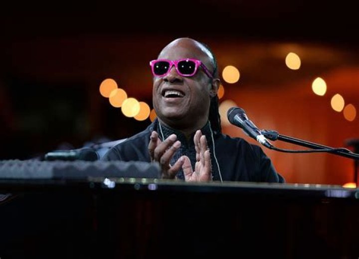 Stevie Wonder: The Hit-Maker Who Beat the Odds and Changed the Face of Music