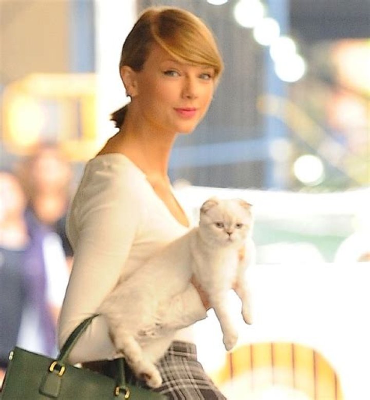 Taylor Swift's Cat Might Owe Her $40 Million