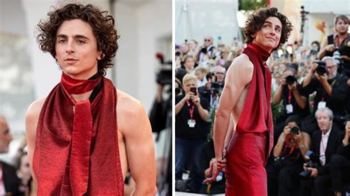 Timothée Chalamet Net Worth | Celebrity Net Worth