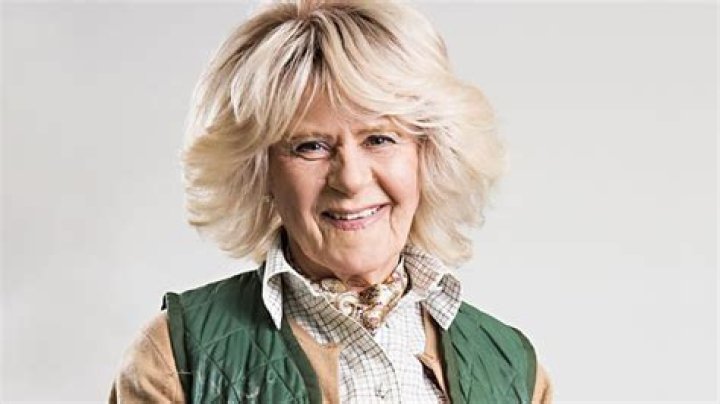 Tracey Ullman Net Worth | Celebrity Net Worth