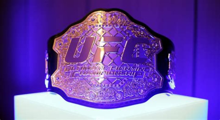 UFC Owners Set To Sell Other Company For $460 Million