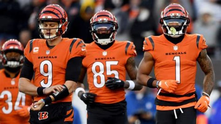 Who Owns The Cincinnati Bengals?